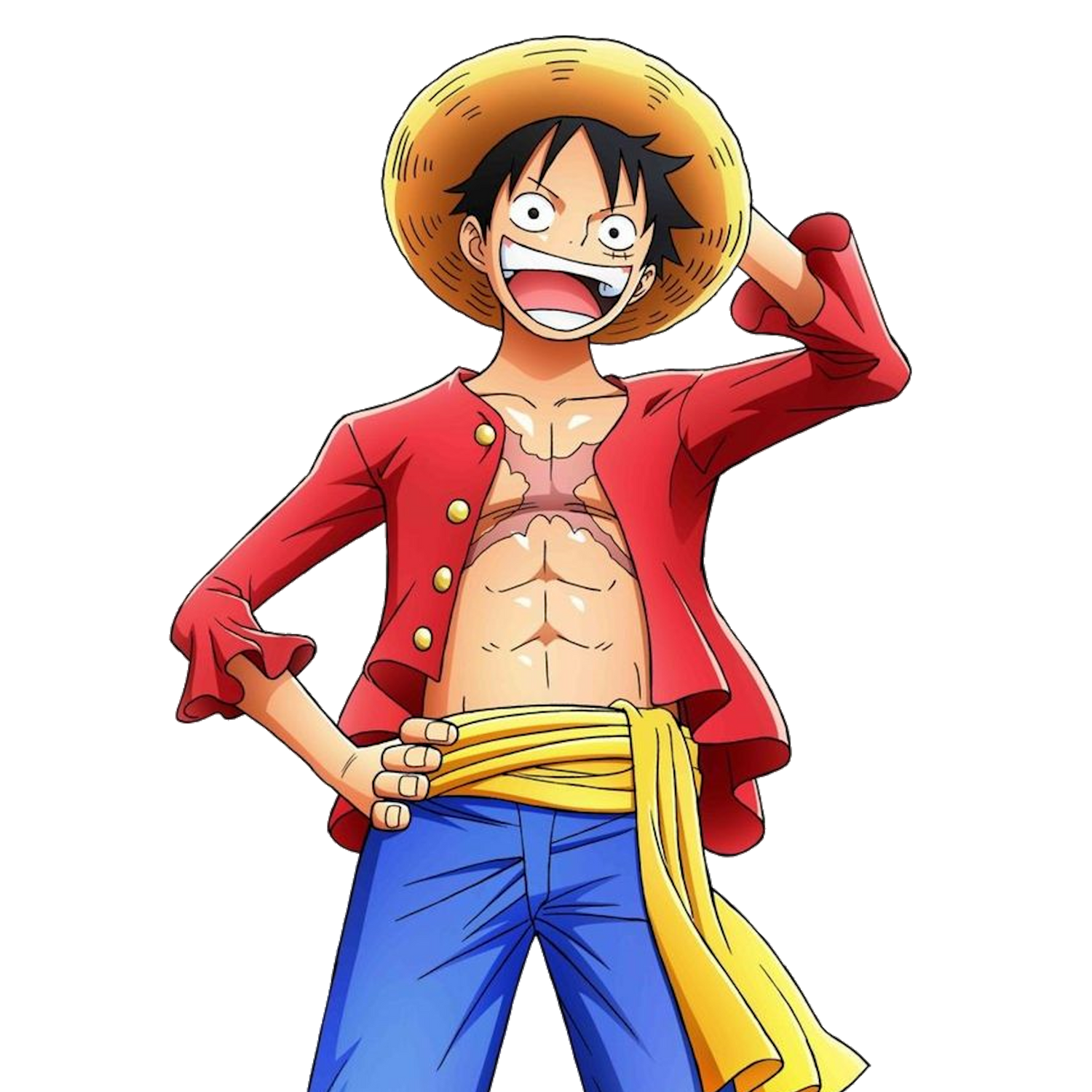 Monkey D Luffy